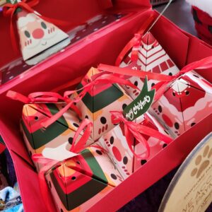 Reindeer Raspberry Rewards Doggy Treat Box