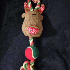 Reindeer Festive Tennis Throw Doggy Toy