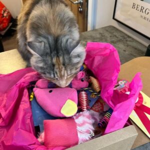 Kitty Surprise Birthday Parcel